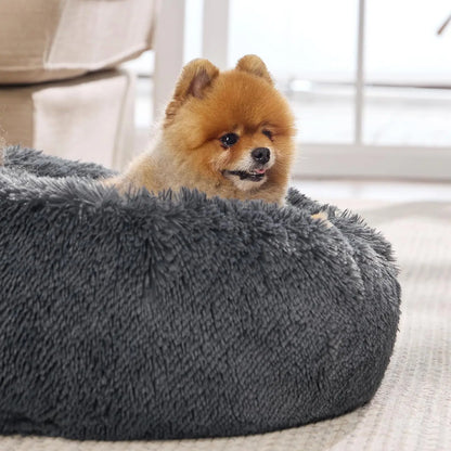 Lesure Soft Donut Bed - Cozy Fluffy Calming Bed for Small/Medium/Large Dogs & Cats, Soft Plush round Pet Bed for Comfort, Washable, Anti-Slip Bottom, Camas Para Perros, Pet Supplies Bedding