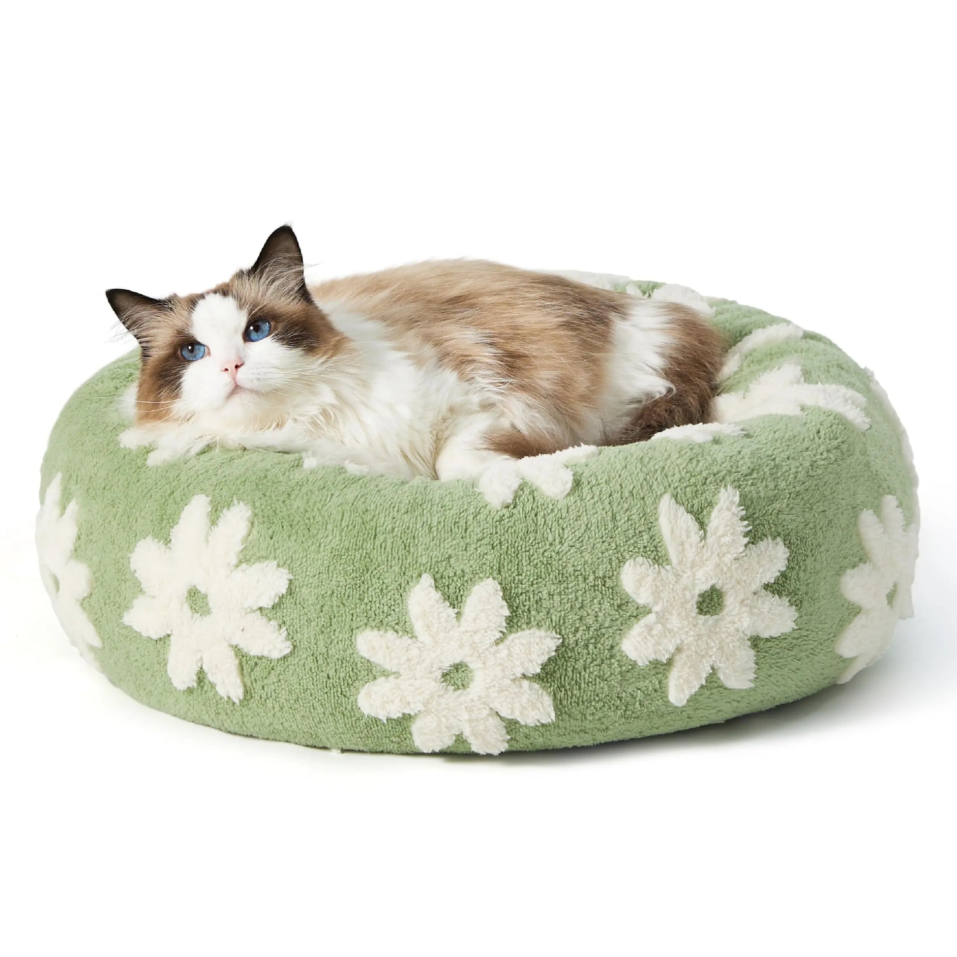 Lesure Soft Donut Bed - Cozy Fluffy Calming Bed for Small/Medium/Large Dogs & Cats, Soft Plush round Pet Bed for Comfort, Washable, Anti-Slip Bottom, Camas Para Perros, Pet Supplies Bedding