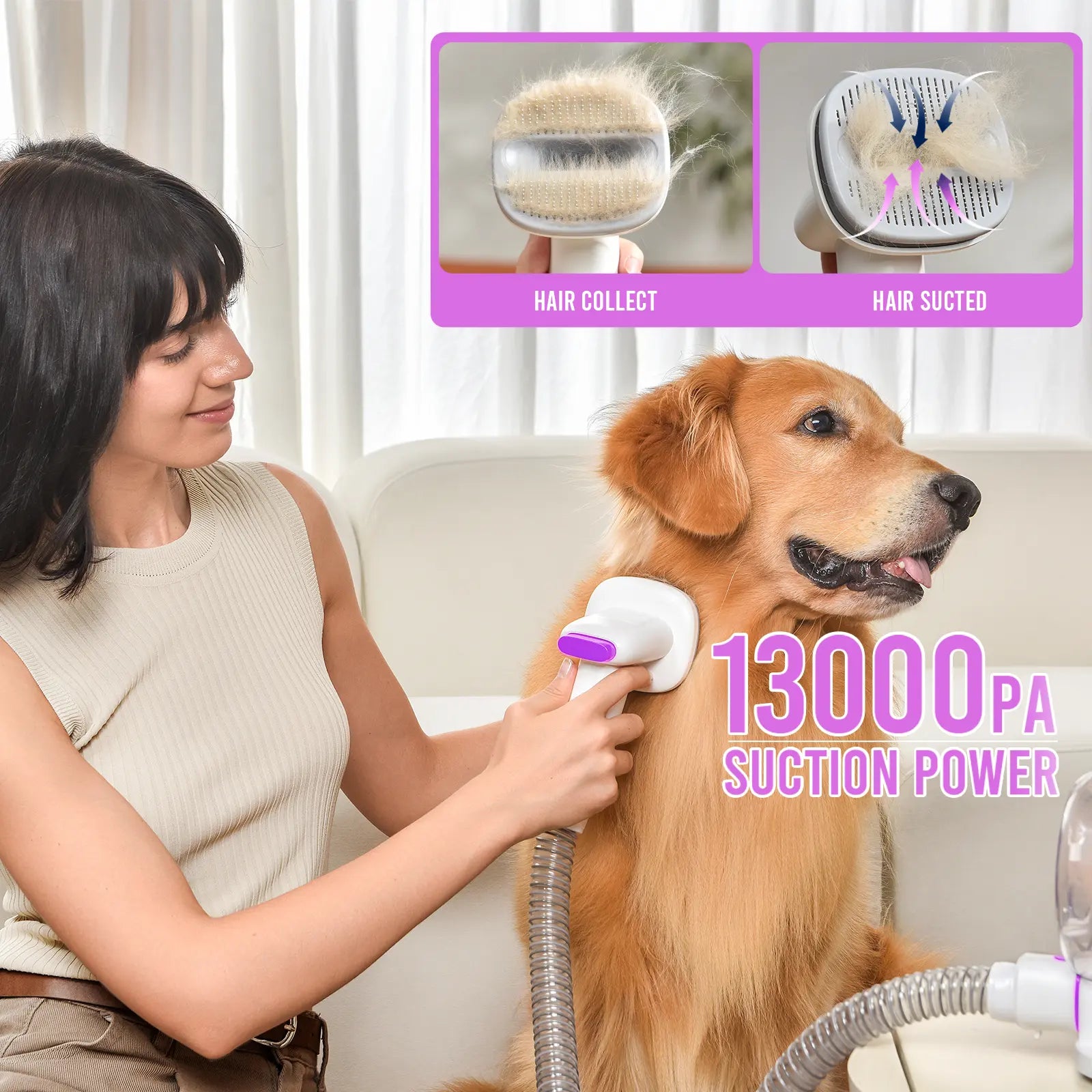 【Geoorood】 Geoorood Dog Grooming All-In-One Kit with Vacuum Brush 2.5L Large Pog, Stainless Steel Blades Lightweight Design 13Kpa Suction Force Portable Cleaning Set #Summervibes #Petlovers